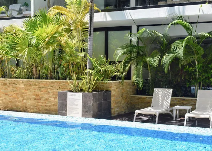Apartment Modern In Downtown Playa del Carmen