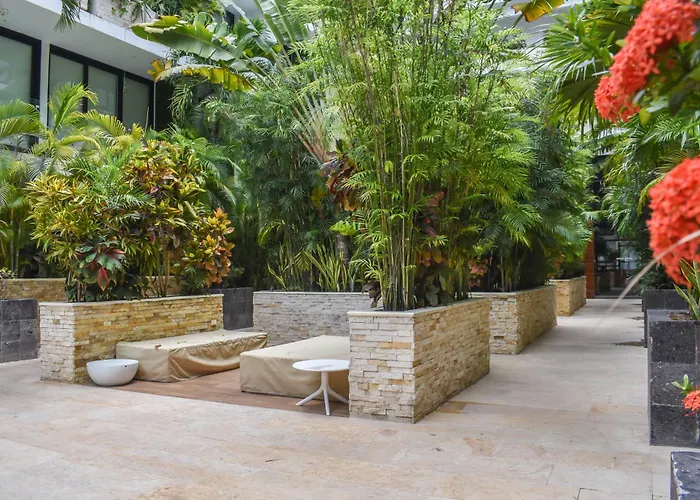 Modern In Downtown Apartment Playa del Carmen